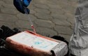 Ecuador tịch thu số lượng kỷ lục 22 tấn cocaine