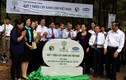 Trồng hơn 5.600 cây xanh tại Khu Di tích lịch sử Ngã Ba Đồng Lộc