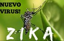 Bộ y tế cảnh báo virus ăn não từ muỗi ở VN