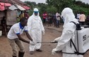 WHO cảnh báo đại dịch Ebola có thể tái bùng phát