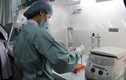Chi tiết quy trình xét nghiệm virus Zika tại Việt Nam