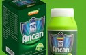 Chuyên gia thổi phồng công dụng TPCN Ancan trị ung thư: vi phạm pháp luật?