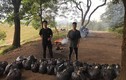 Thanh niên Việt khắp nơi hào hứng tham gia “Thử thách dọn rác“