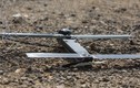 Nga sao chép mẫu UAV tự sát “Bóng ma Phượng hoàng” của Mỹ