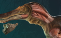 Phát hiện khủng long Spinosaurus mặt cá sấu kỳ dị, chuyên gia ngỡ ngàng 