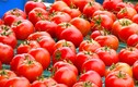 7 tác dụng phụ cực có hại khi ăn cà chua ít ai ngờ