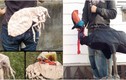 Những chiếc túi xách hình rết bọ khiến người dùng “sởn da gà”