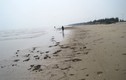 Phát hiện thi thể người đàn ông trôi dạt bờ biển trong thời tiết rét lạnh