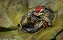 Hãi hùng với món nòng nọc ếch kinh dị của Thái Lan