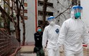Hong Kong: Tìm thấy virus SARS-CoV-2 trong đường ống chung cư