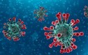Miền Bắc rét 13-15 độ C... nguy cơ virus SARS-CoV-2 gây leo thang dịch?
