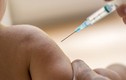 Những vắc xin bạch hầu tiêm phòng cho trẻ phụ huynh cần biết