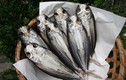Món cá thối kinh dị của Nhật Bản được ví như đậu phụ thối