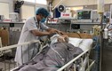 Các bệnh nhân ngộ độc pate Minh Chay giờ ra sao?