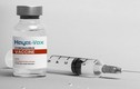 Hayat-Vax - vắc xin “sự sống” của UAE và những điều cần biết