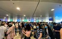 Vé máy bay Hà Nội đi TP HCM: Chục triệu đồng cũng khó mua
