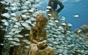 Kinh ngạc công viên điêu khắc kỳ lạ dưới đáy đại dương