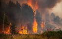 Toàn cảnh đám cháy rừng biến châu Âu thành "hoả ngục"