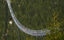10 cây cầu nắm giữ kỷ lục thế giới, gồm cầu kính Bạch Long