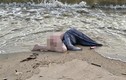 Hú vía búp bê tình dục bị nhầm là xác chết trên bãi biển