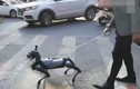 Trào lưu dắt chó robot đi dạo trở nên thịnh hành ở Trung Quốc