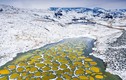 Hồ Chấm Bi tuyệt đẹp có khả năng chữa bệnh ở Canada