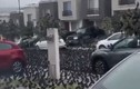 Cảnh chim đậu kín đen trên đường phố Mexico cảnh báo “khủng hoảng”
