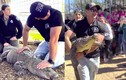 Bị bắt trộm 20 năm trước, con cá sấu được đem trả sở thú
