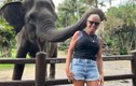 Đang chụp ảnh, nữ du khách bị voi cắn gãy tay