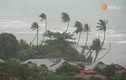 Các nước châu Á đồng loạt cảnh báo mưa lũ do ảnh hưởng bão Talim