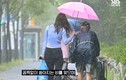 Cô gái Hàn gây sốt vì nhường ô che mưa cho cụ già