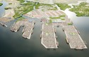 Nhiều đề xuất lập siêu cảng tỷ USD ở Việt Nam