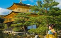 Ngôi chùa Nhật Bản được dát bằng vàng thật gây choáng ngợp