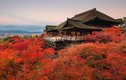 Chiêm ngưỡng 10 ngôi chùa cổ kính đẹp nhất Nhật Bản
