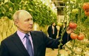 Tổng thống Putin lần đầu tiên thăm vùng cực đông Nga