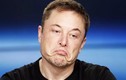 Tỷ phú Elon Musk: Thương trường rực rỡ, tình trường thảm thương