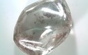 Nhặt được viên kim cương “to bự” trong công viên tiểu bang Mỹ