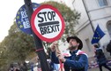 Anh: 6 triệu chữ ký kiến nghị Chính phủ rút lại Điều khoản 50 Brexit