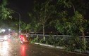 Bão số 2 vào Việt Nam, Hà Nội mưa lớn cây đổ đè người đi đường