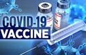 Chi tiết 120 triệu liều vắc xin COVID-19 về Việt Nam trong năm nay