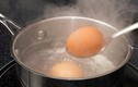 Cảnh báo: Đừng luộc trứng kiểu nay kẻo mất mạng như chơi 