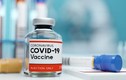 Tiêm vắc xin COVID-19 mũi 1 sốt mệt, mũi 2… tính sao?