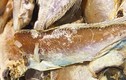 Loại cá độc hại nhiều người Việt thích ăn, ung thư tìm tới cửa