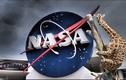 Hươu cao cổ làm “quân sư” cho NASA