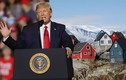 Đảo Greenland có gì mà Tổng thống Trump muốn mua bằng được? 