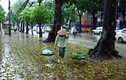 Dự báo thời tiết 16/9: Hà Nội nền nhiệt cao dù mưa rào rải rác
