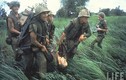 Ảnh vô cùng thảm khốc về chiến tranh Việt Nam của Larry Burrows 