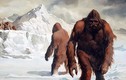 Lời giải quá choáng về sự tồn tại của quái vật Bigfoot 