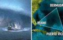 Tiết lộ cực choáng quái vật ẩn náu ở “tam giác quỷ” Bermuda
