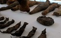 Bí mật kinh thiên xác ướp chuột ngàn năm tuổi thời Ai Cập cổ 